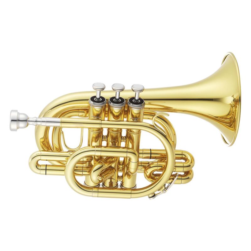 Joueur de trompette, réplique de trompette miniature avec support et étui  plaqué or, modèle d'instrument, modèle d'ornements musicaux pour cadeau de