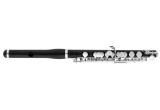 FLUTE PICCOLO HAYNES AP46-T