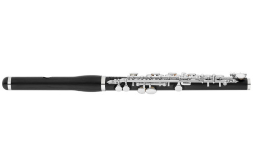 FLUTE PICCOLO HAYNES AP46-T