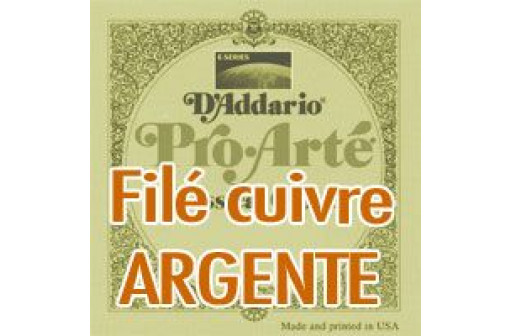 CORDE DE RE 4EME D'ADDARIO PRO-ARTE NORMAL GUITARE CLASSIQUE