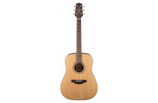 GUITARE ACOUSTIQUE TAKAMINE GD20-NS